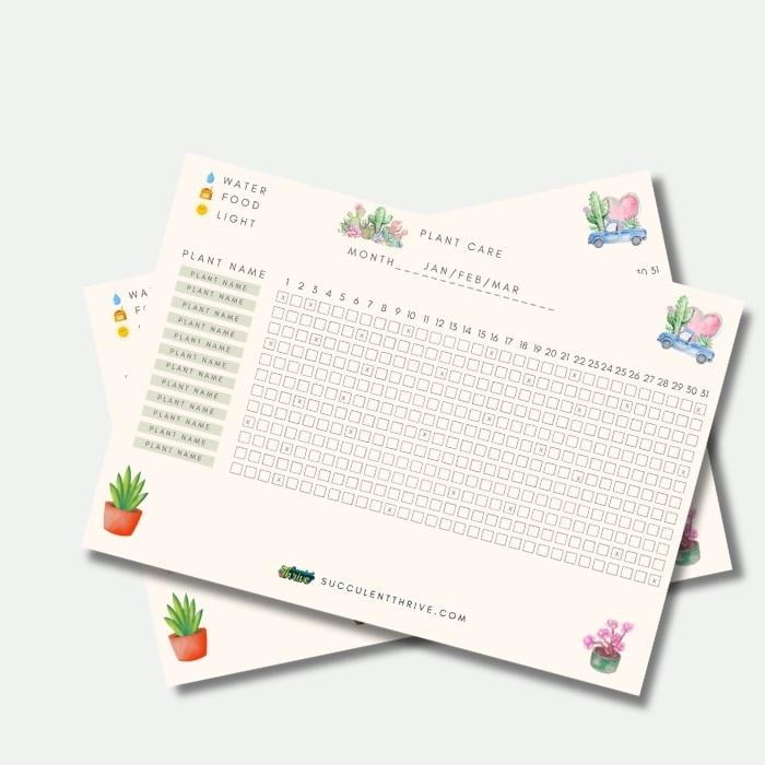 Plant Care monthly Tracker 4